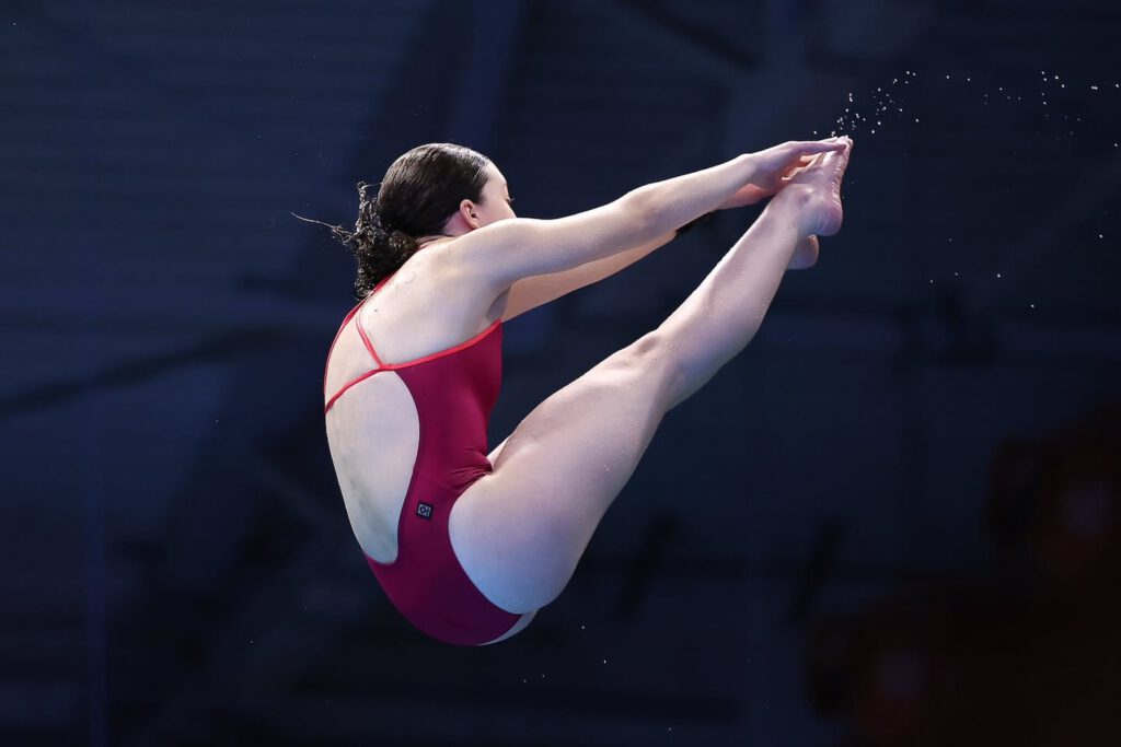 493488956 1243080551158749 3633118583186246044 n