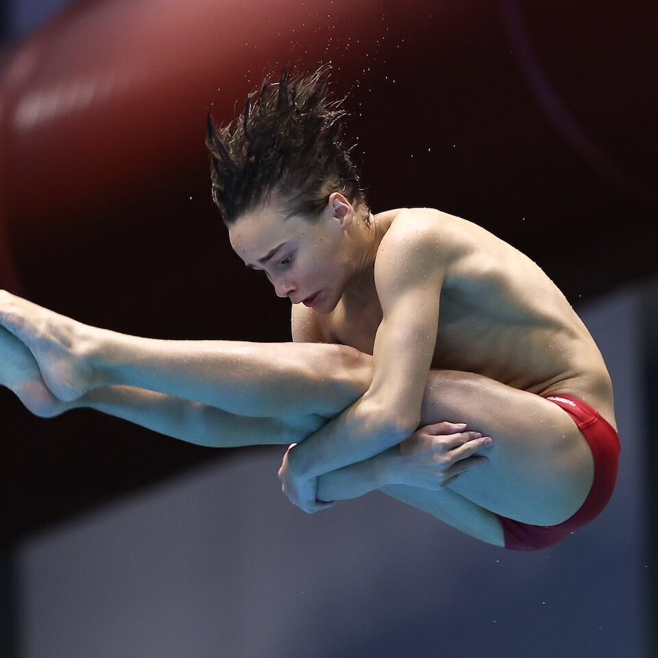 495132496 1241682631298541 5451995967509908811 n aspect ratio 500 500