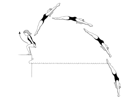 Backward dives